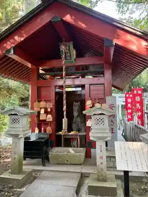 大杉神社(茨城県)