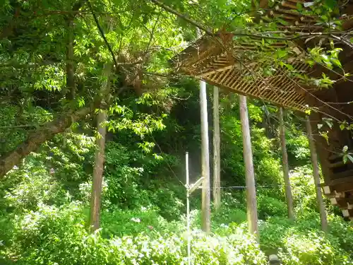 御霊神社の自然