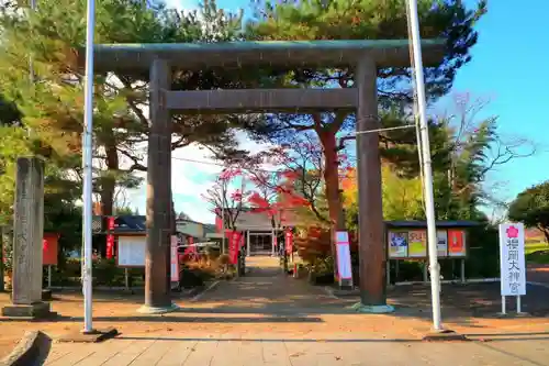 櫻岡大神宮の鳥居