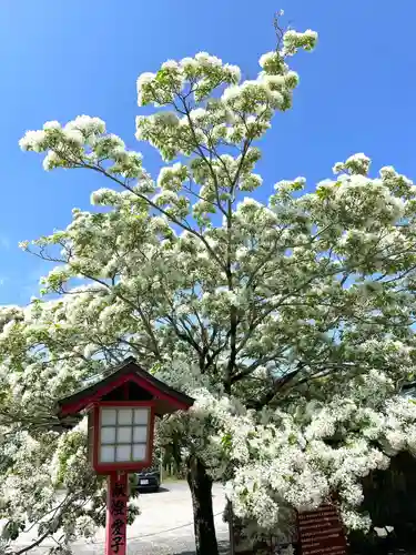 岡湊神社(福岡県)