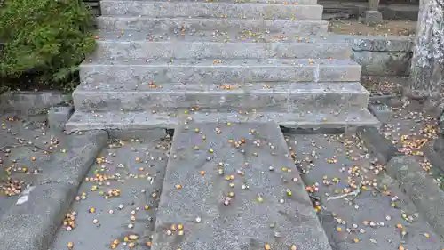 愛宕神社の庭園