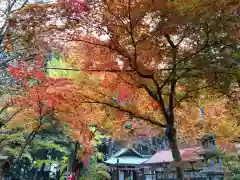 日高神社の自然