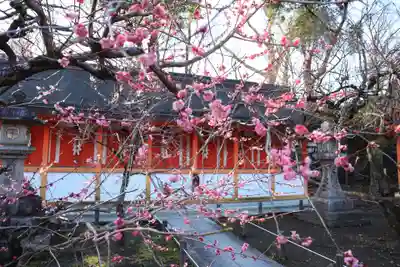 北野天満宮(京都府)
