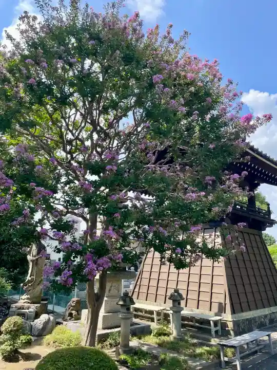泉沢寺(神奈川県)