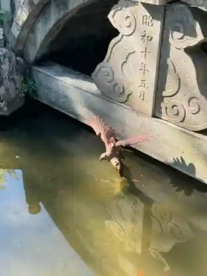 若宮神明社(愛知県)