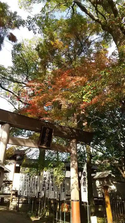 若宮神明社の鳥居
