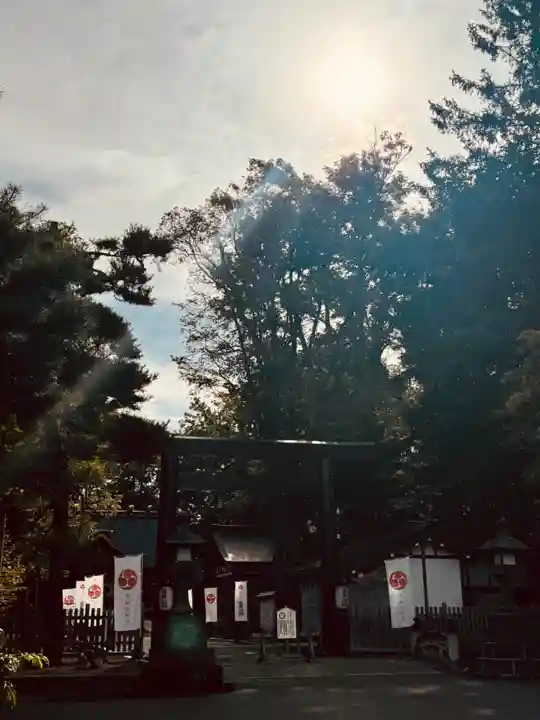 旭川神社の鳥居