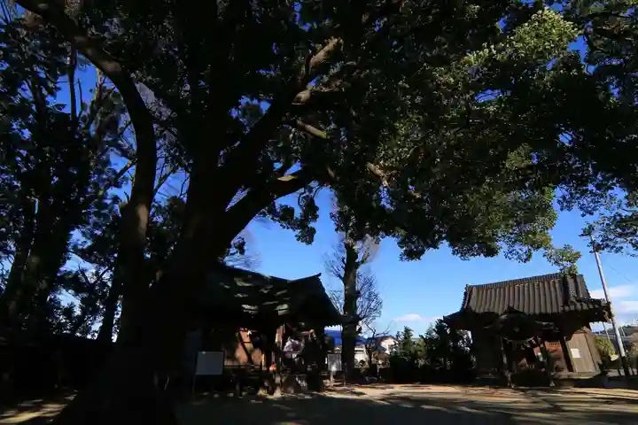三島八幡神社の自然