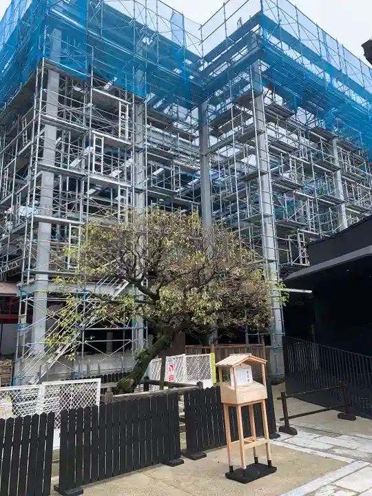 太宰府天満宮(福岡県)