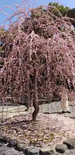 城南宮(京都府)