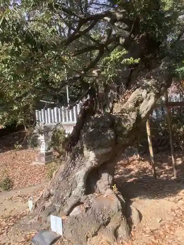 松原神社の庭園