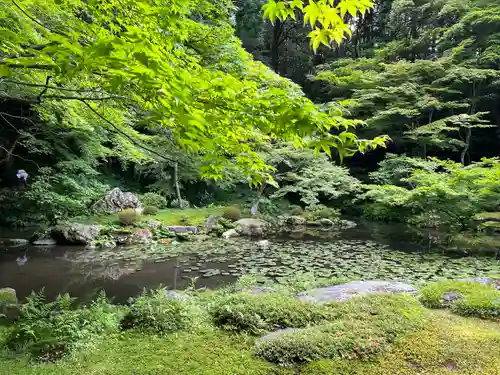 南禅院の庭園