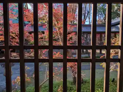 妙法寺(東京都)