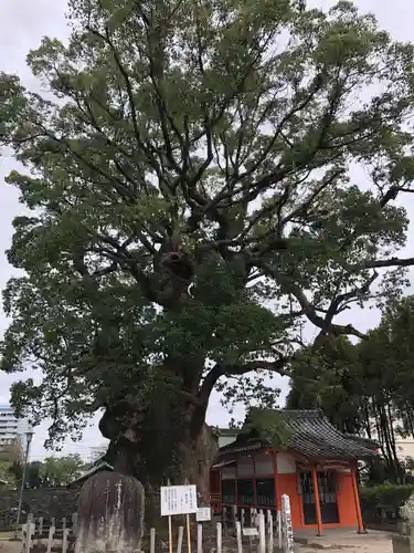 與賀神社の自然