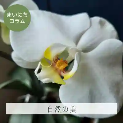 壽徳寺 じゅとくじ(福島県)