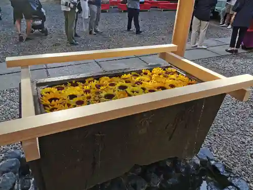 上目黒氷川神社の手水舎