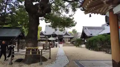 大聖観音寺（あびこ観音）(大阪府)