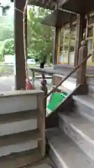 高司神社〜むすびの神の鎮まる社〜(福島県)