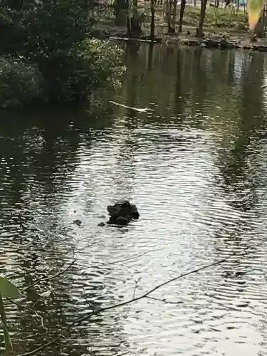 武蔵一宮氷川神社の{uncategorized: "未分類", other: "その他", undefined: "問題あり", building: "その他建物", grave: "お墓", sacred_gate: "鳥居", guardian: "狛犬", statue: "像", buddha: "仏像", history: "歴史", nature: "自然", garden: "庭園", animal: "動物", pagoda: "塔", temizu: "手水舎", mountain_gate: "山門・神門", sanctuary: "本殿・本堂", subordinate: "末社・摂社", art: "芸術", scenery: "景色", jizo: "地蔵", ema: "絵馬", goshuin: "御朱印", omikuji: "おみくじ", items: "授与品その他", amulet: "お守り", goshuincho: "御朱印帳", eats: "食事", festival: "お祭り", votive_dance: "神楽", shichigosan: "七五三参", wedding: "結婚式", experience: "体験その他", initially: "初詣", around: "周辺", anti_infection: "感染症対策"}