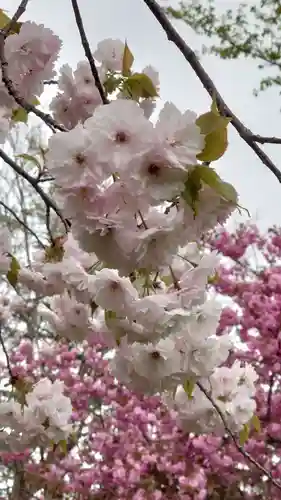 相馬神社(北海道)