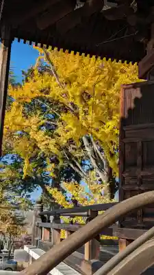 くろ谷 金戒光明寺(京都府)