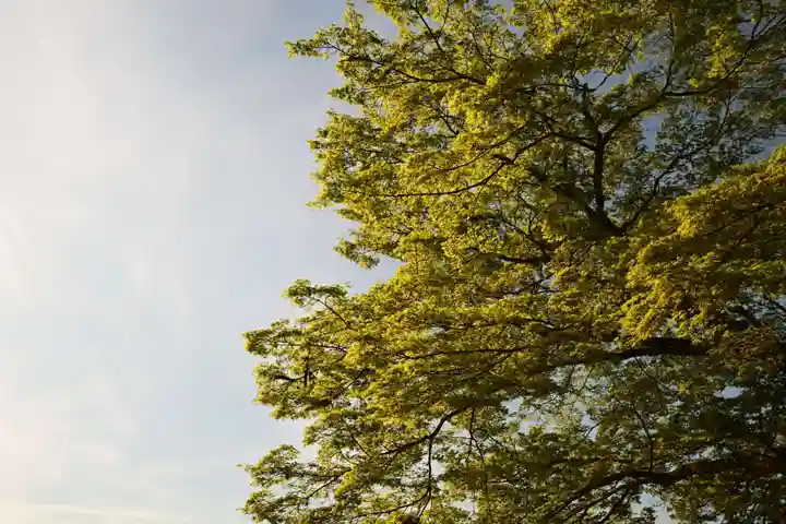 金峯山寺(奈良県)