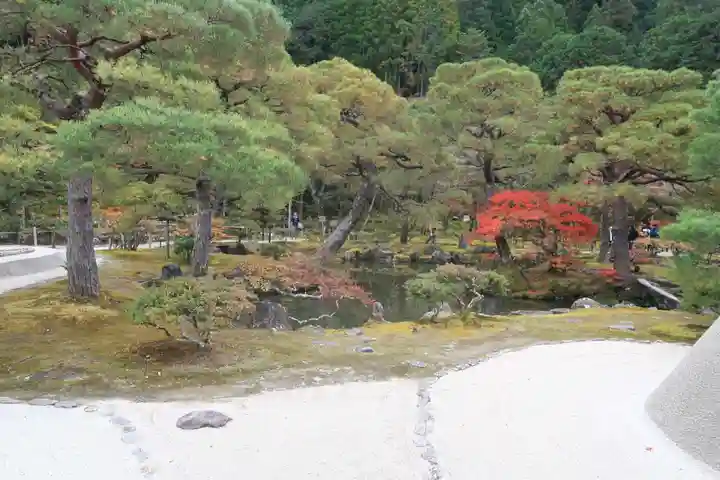 慈照寺(慈照禅寺・銀閣寺)(京都府)