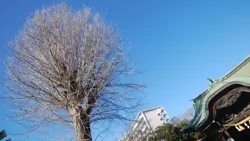 菊田神社の自然