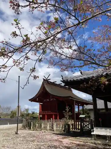 浄土寺の末社