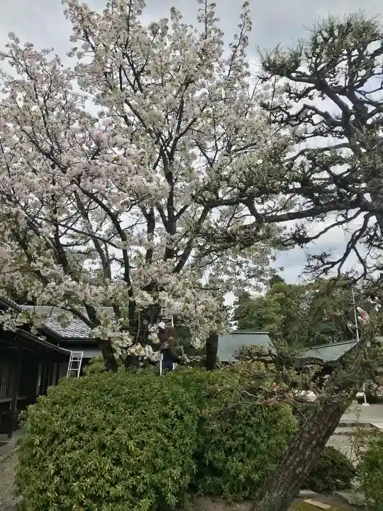 滋賀県護国神社(滋賀県)