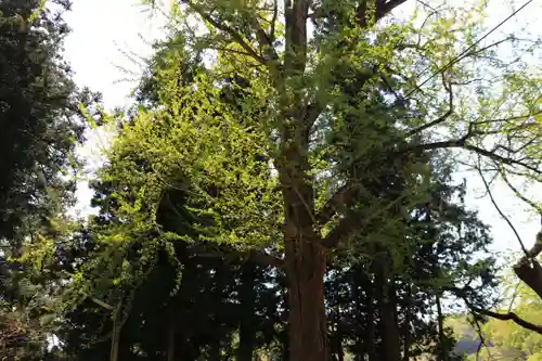 春日神社の庭園