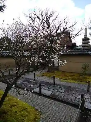 大仙院のその他建物