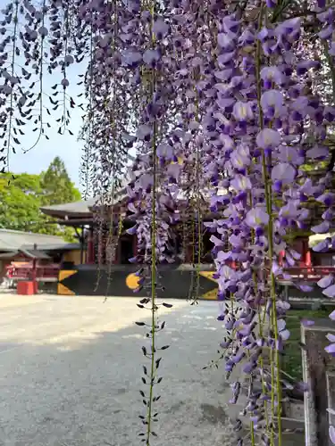 笠間稲荷神社の自然