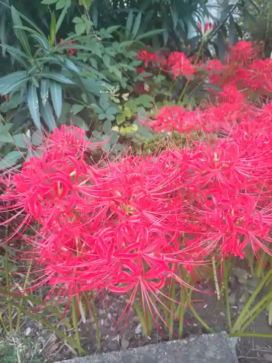 福寿院(東京都)