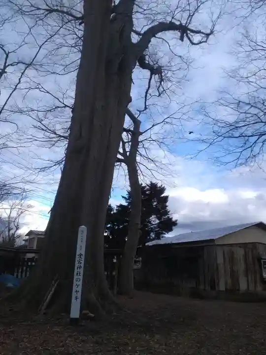 愛宕神社(秋田県)