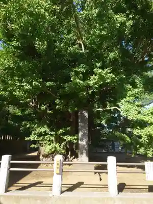 葛飾八幡宮のその他建物