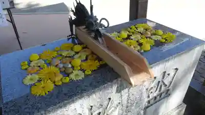 川越八幡宮(埼玉県)