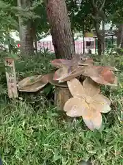 櫻木神社(千葉県)