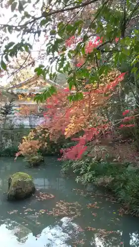 大縣神社の庭園