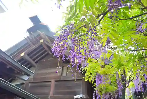 國領神社の本殿・本堂