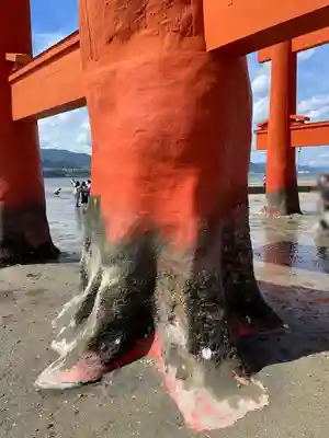 厳島神社(広島県)