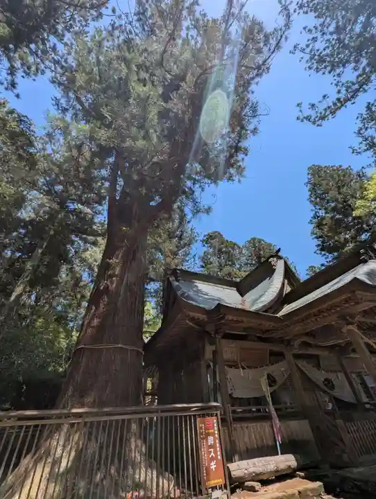 近津神社(茨城県)