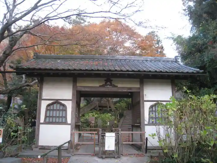 明月院(神奈川県)