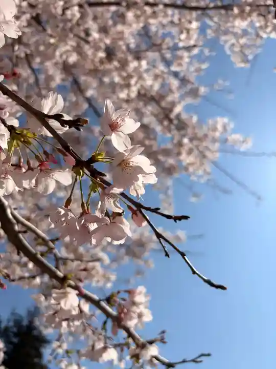 鹿嶋三嶋神社(茨城県)