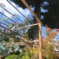 正寿院のその他建物