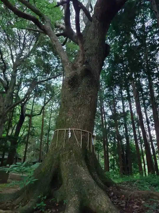 六嶽神社(下社)(福岡県)