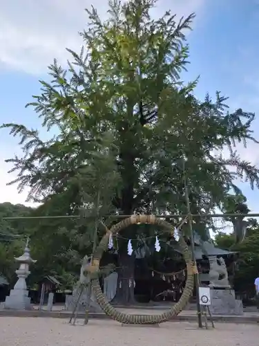 賀羅加波神社の建物その他