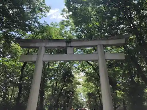 大國魂神社の鳥居