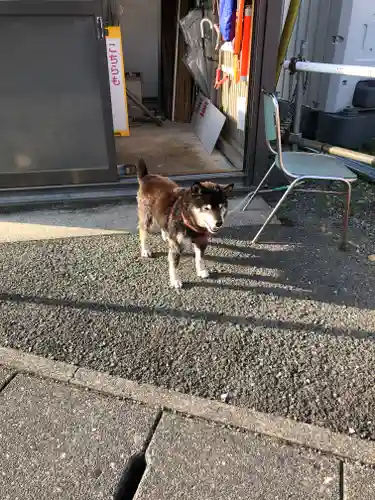 尊永寺(静岡県)