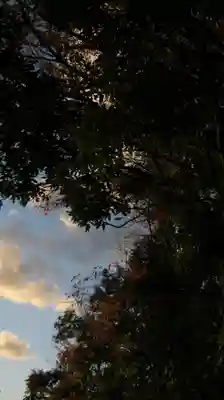 正八幡宮の自然